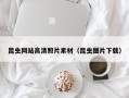 沈丘昆虫网站高清照片素材（昆虫图片下载）